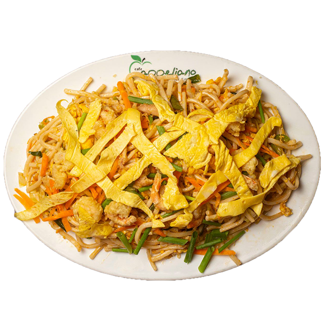 Appeliano Special Chowmein